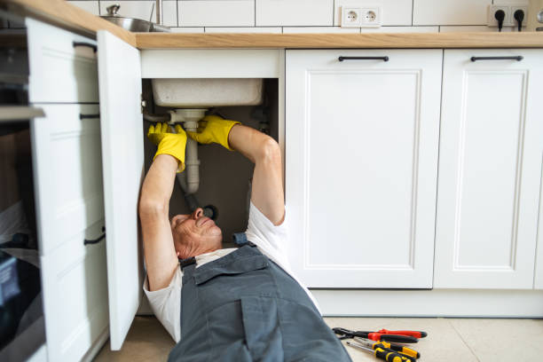 Best Affordable Plumbing Services  in Cascade, IA
