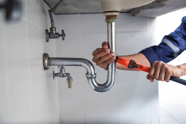 Best Clogged Drain Plumber  in Cascade, IA