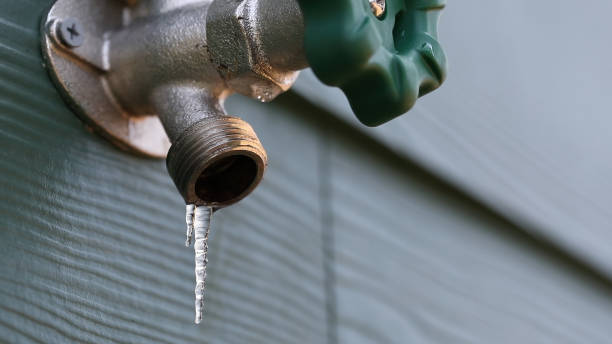 Best Local Plumber Services  in Cascade, IA